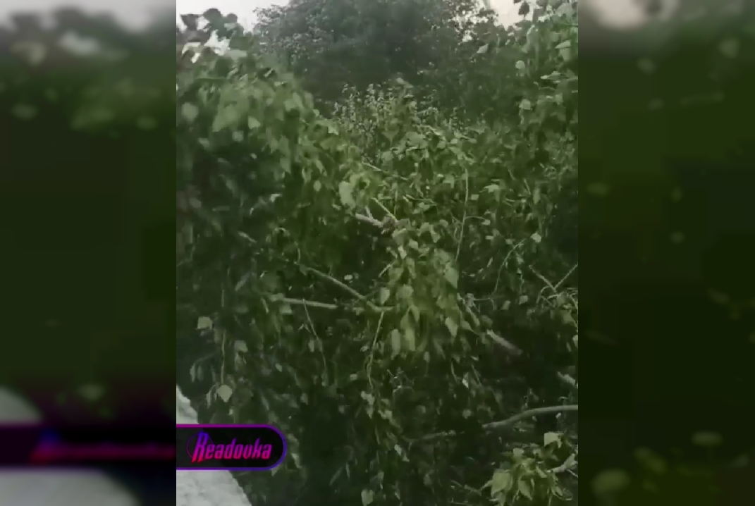 Из-за сильного урагана в Москве пострадали уже четверо взрослых человека и грудной ребенок