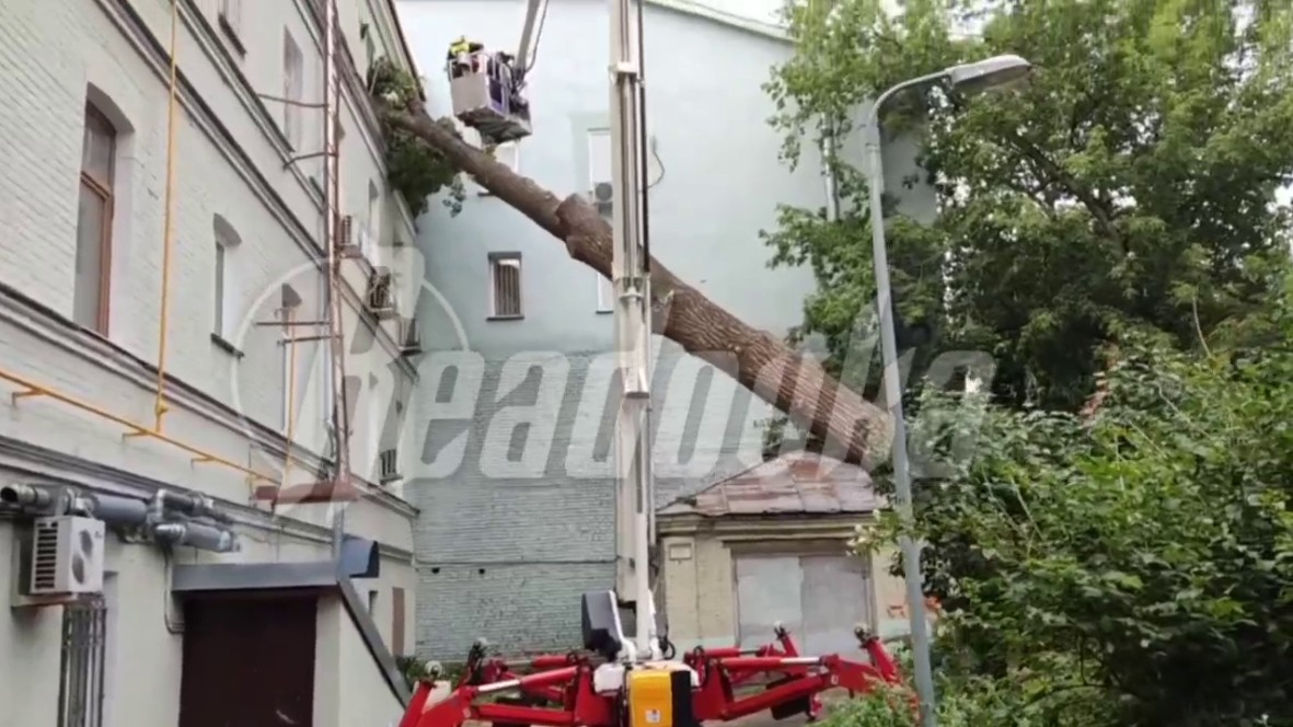 На дом в центре Москвы рухнуло огромное дерево