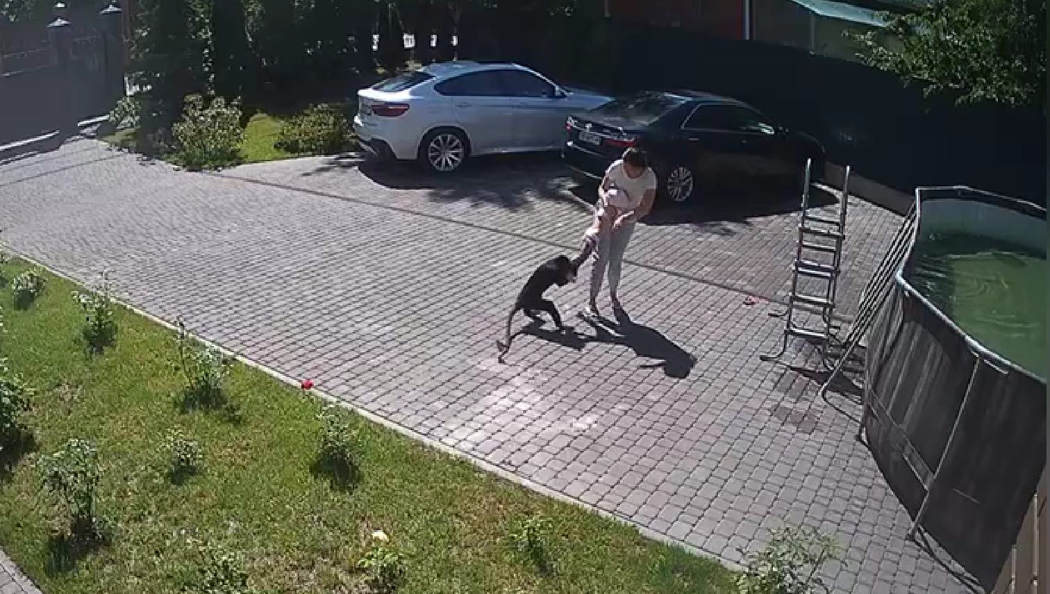 Двухлетняя девочка попала в реанимацию после укусов сбежавшей обезьяны