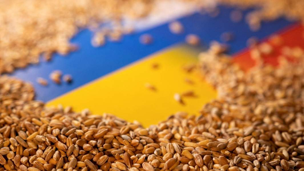 Шойгу прибыл в Стамбул на подписание документов по зерновому вопросу
