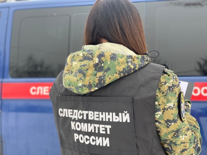 Свердловчанка зарезала свою дочь и пыталась свалить преступление на выдуманного маньяка