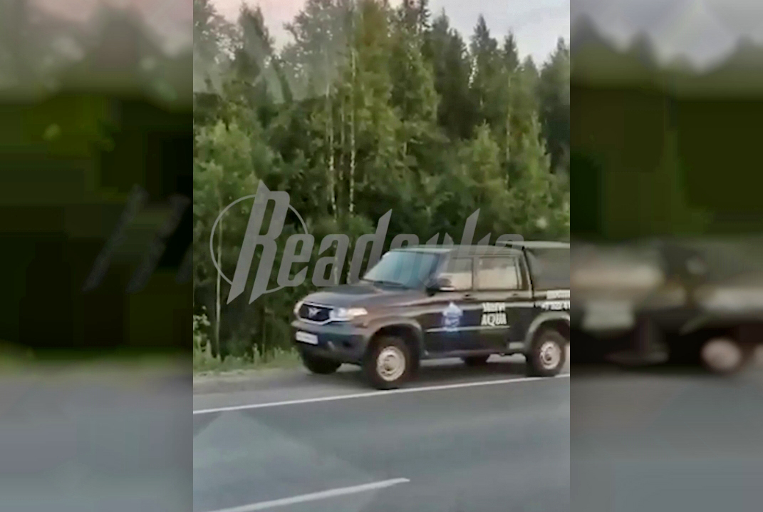 Доставщики воды расстреляли медвежонка на трассе в ХМАО