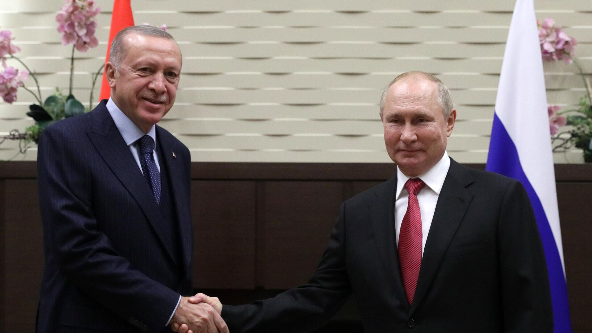 Путин и Эрдоган начали переговоры в Сочи