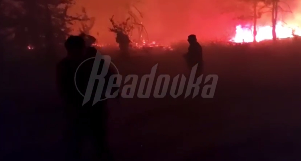 Жуткий пожар охватил каменское лесничество в Ростовской области