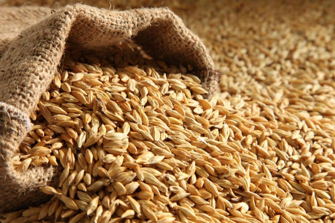 Продуктовую сделку по украинскому зерну могут не продлить