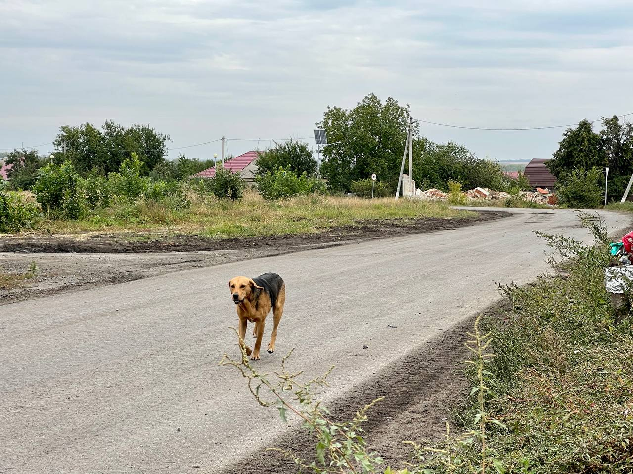 Губернатор Белгородчины призвал жителей Журавлевки и Нехотеевки эвакуироваться