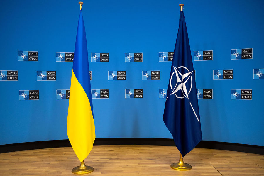 Сенатор Джабаров: НАТО не ввяжется в войну с Россией из-за Украины