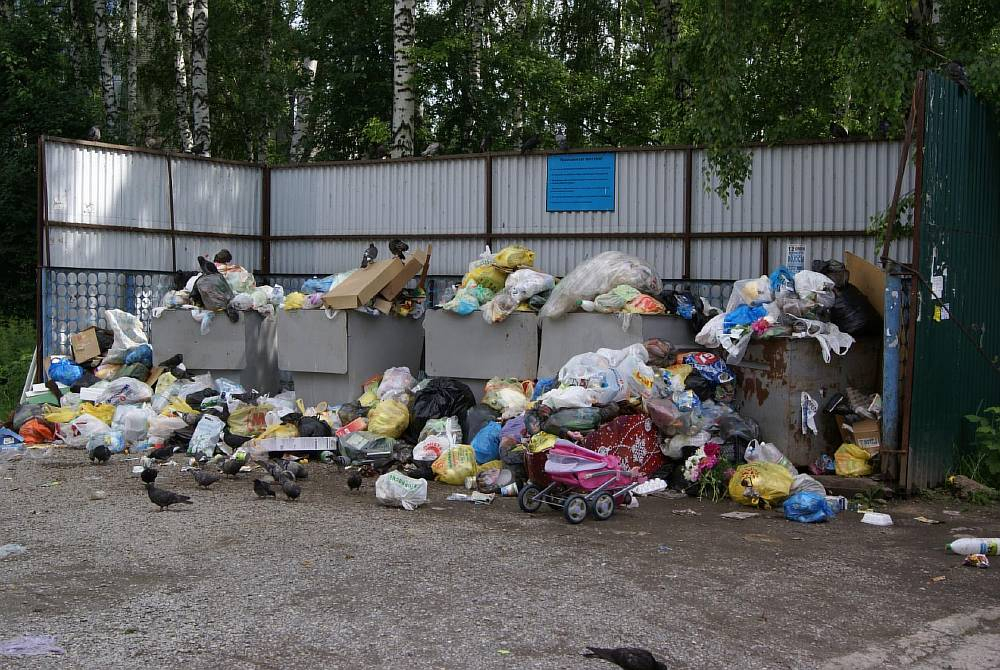 В России изменятся нормативы тарифов за вывоз мусора