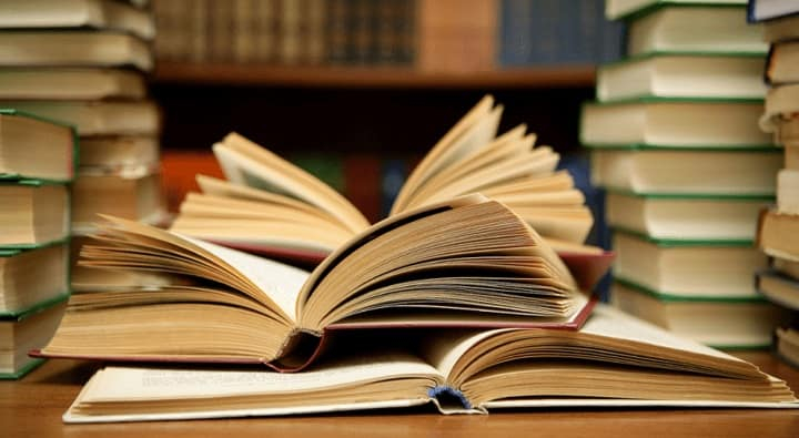 Литературный критик высказался об инициативе о проверке книг на пропаганду