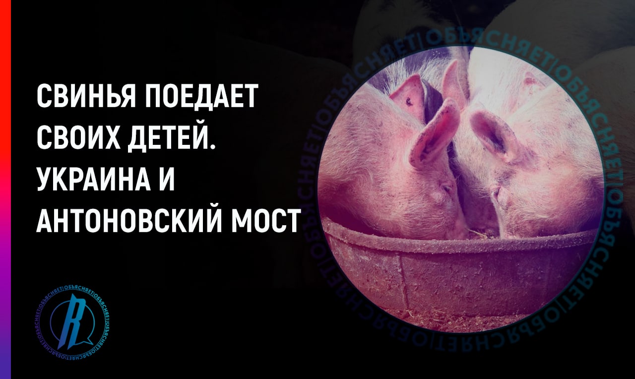 Украинский нацрежим не оставляет в покое Антоновский мост