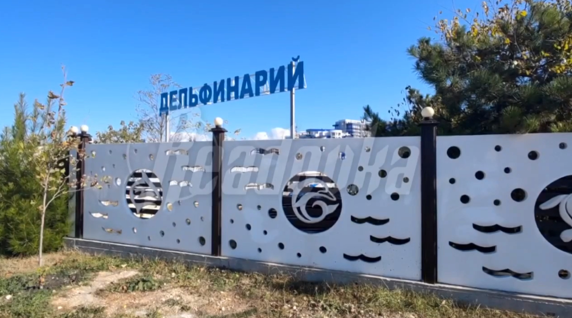 Дельфинарий в Севастополе закрылся после скандала