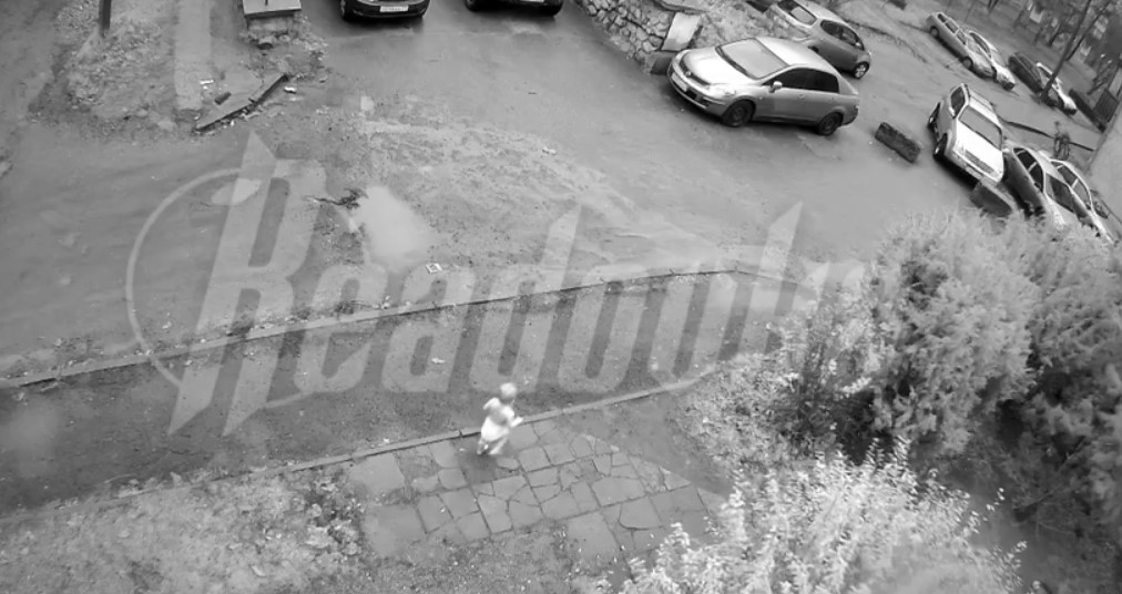 Полуторагодовалая девочка ушла из детского садика в Кирове в одном подгузнике