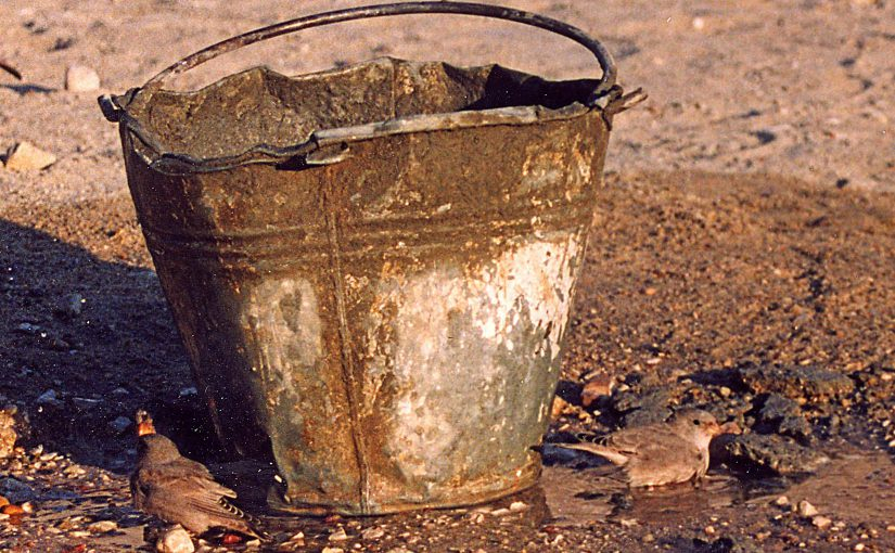 В Первоуральске оштрафовали женщину за разлив фекалий из ведра в местном «Водоканале»