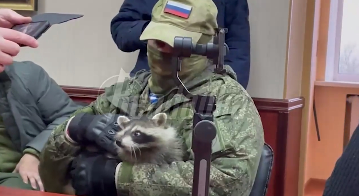 Знаменитый енот из Херсона пришел на встречу с Сальдо