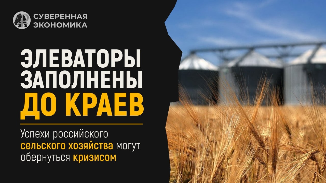 Успехи российского сельского хозяйства могут обернуться кризисом