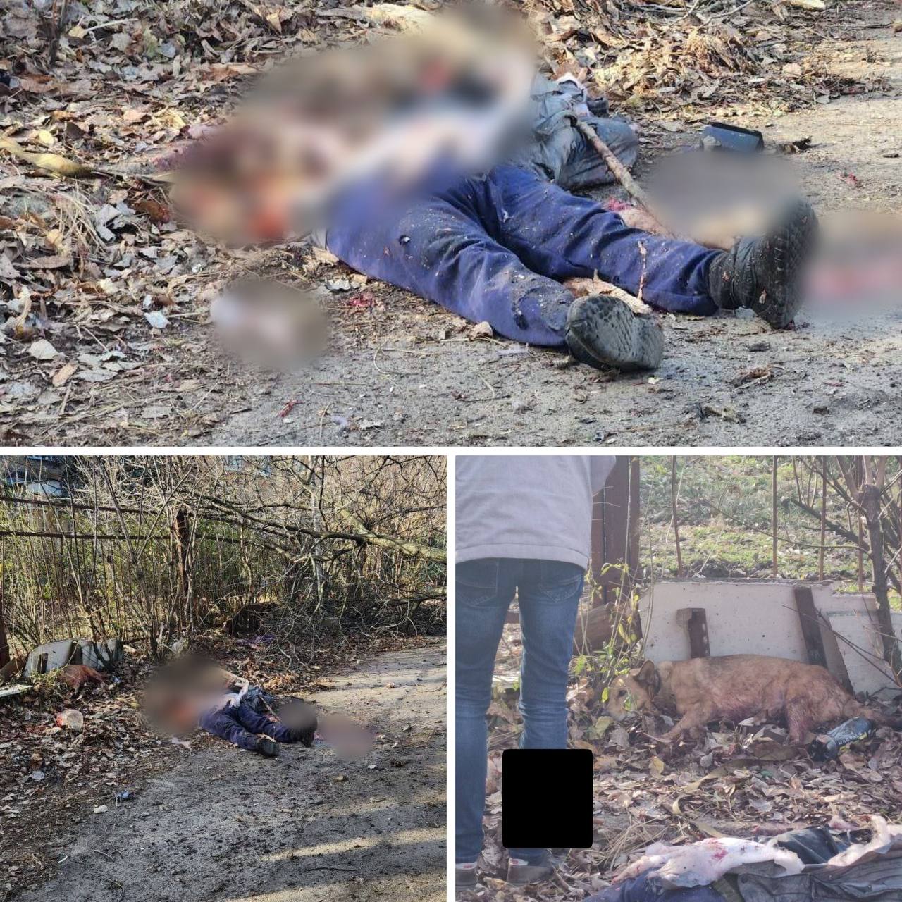 ВСУ снова обстреливают несколько районов Донецка
