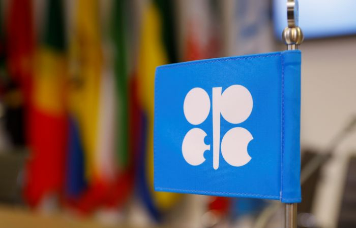 Производители нефти из ОПЕК+ могут ввести серьезное сокращение добычи