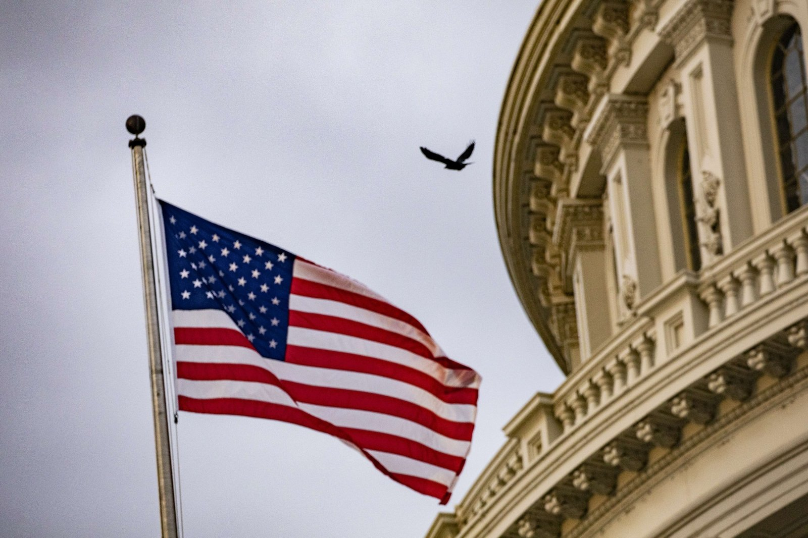 США предъявили обвинения пяти россиянам в закупке электронных компонентов в обход санкциям