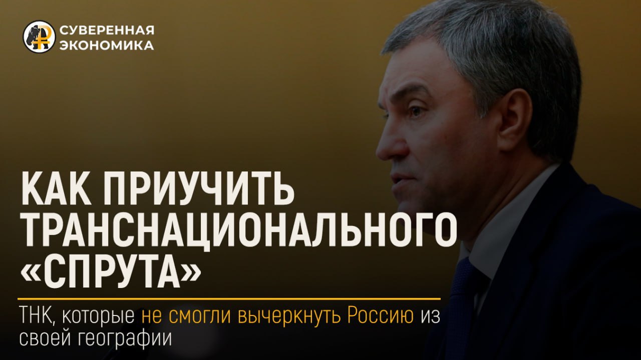 Как приучить транснационального «спрута»?