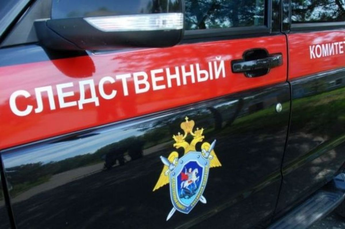 СК РФ подтвердил гибель двух человек при крушении Ан-2 в НАО