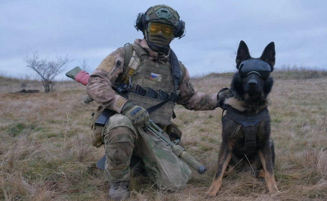 В ЛНР обнаружили схрон украинских боевиков с 306 кг взрывчатки
