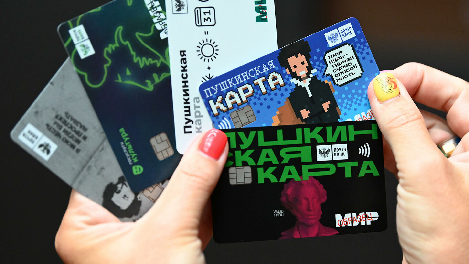 Мошенники через соцсети начали обманывать владельцев «Пушкинской карты»