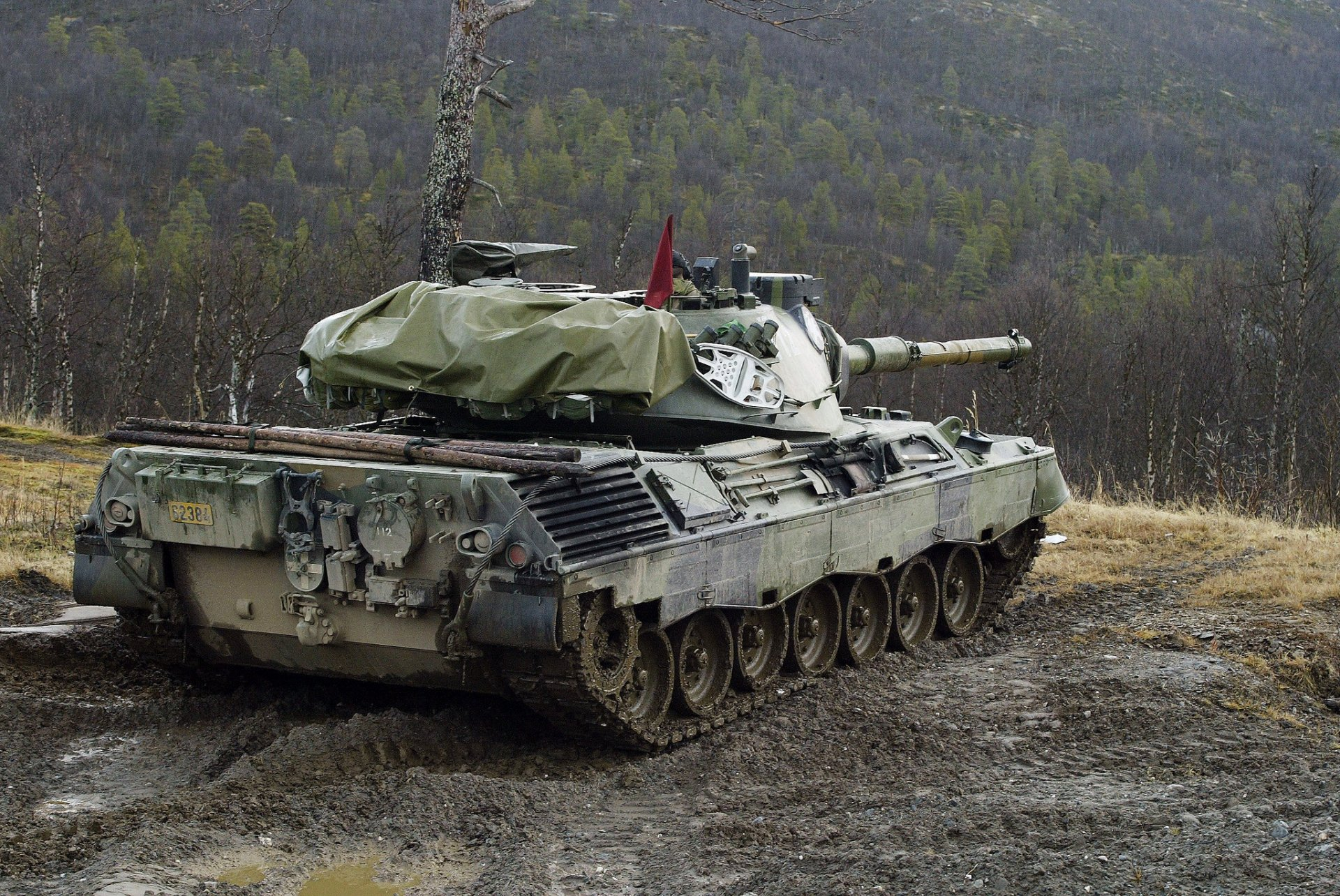 Германия поставит ВСУ 88 танков Leopard 1