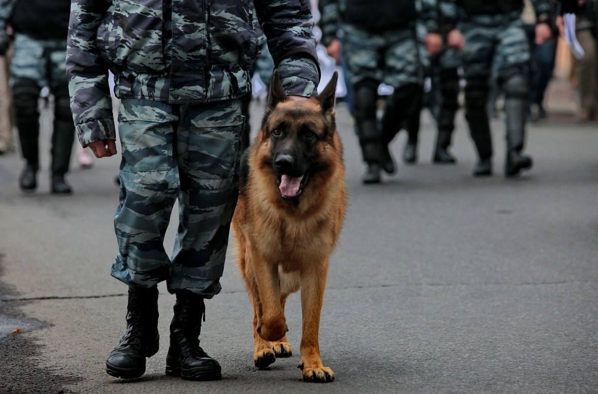 В Запорожской области нашли и ликвидировали схрон украинских боевиков