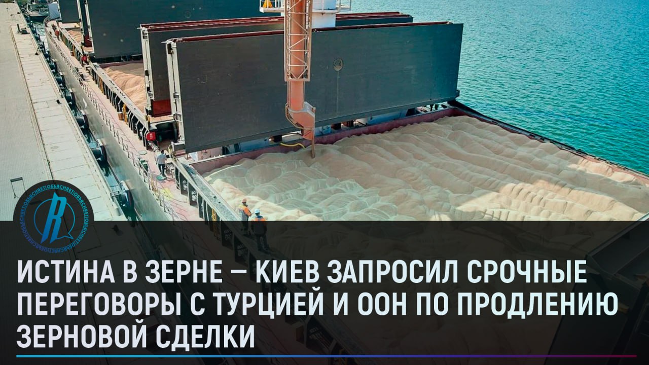 Киев запросил срочные переговоры с Турцией и ООН по продлению зерновой сделки