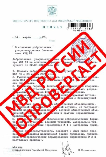 МВД опровергло слухи об издании приказа о формировании штурмовых батальонов