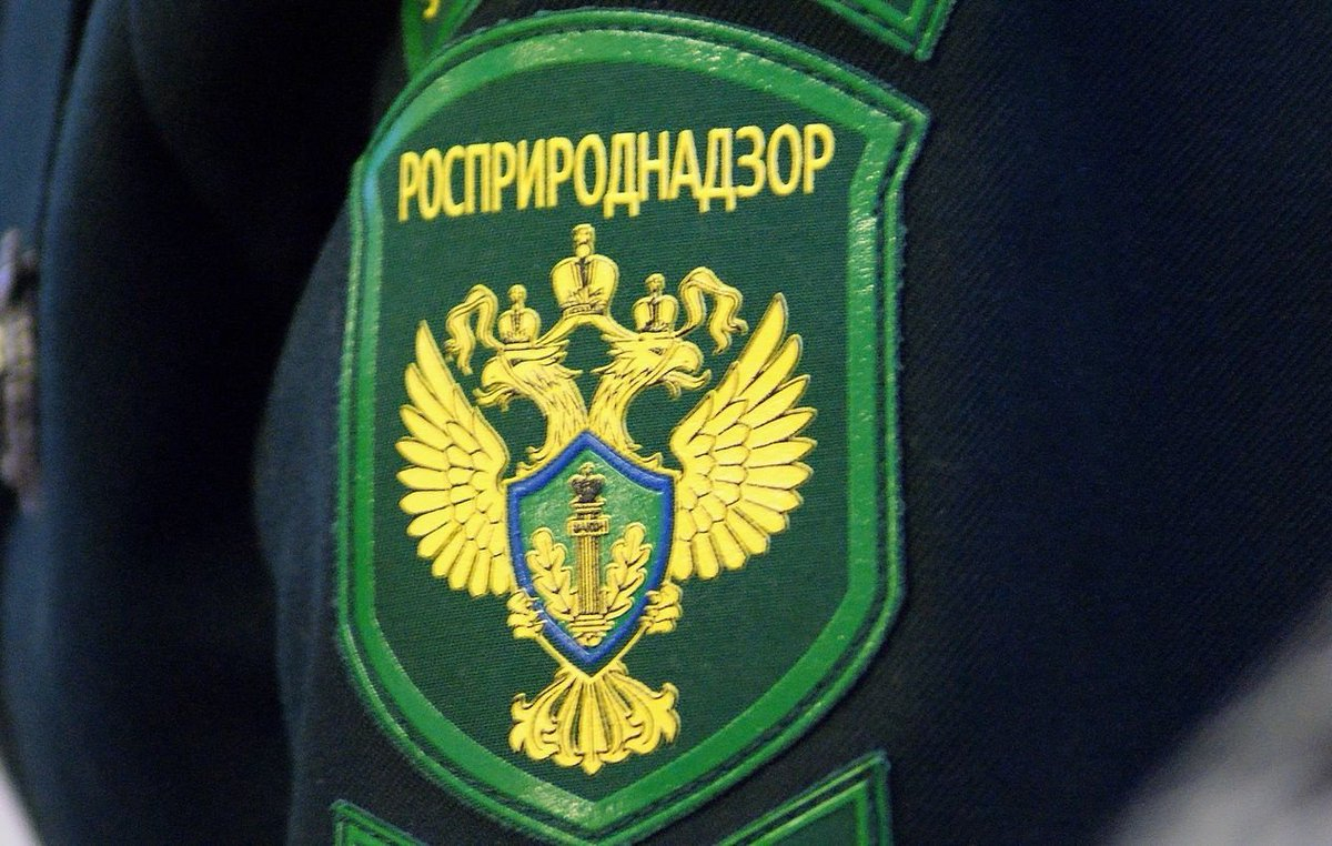 Росприроднадзор подал иск на «дочку» «Полиметалла» за вред окружающей среде