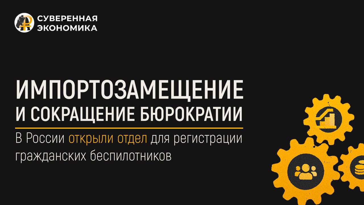 В России открыли отдел для регистрации гражданских беспилотников