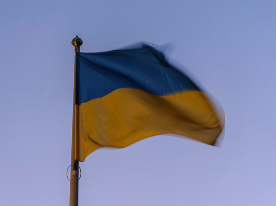 Японский аналитик Цутида предупредил Украину о последствиях роста внутреннего долга