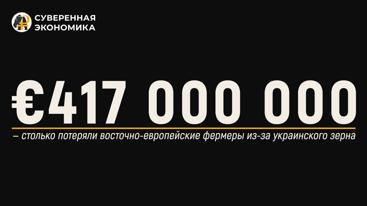 Сколько потеряли восточно-европейские фермеры из-за украинского зерна