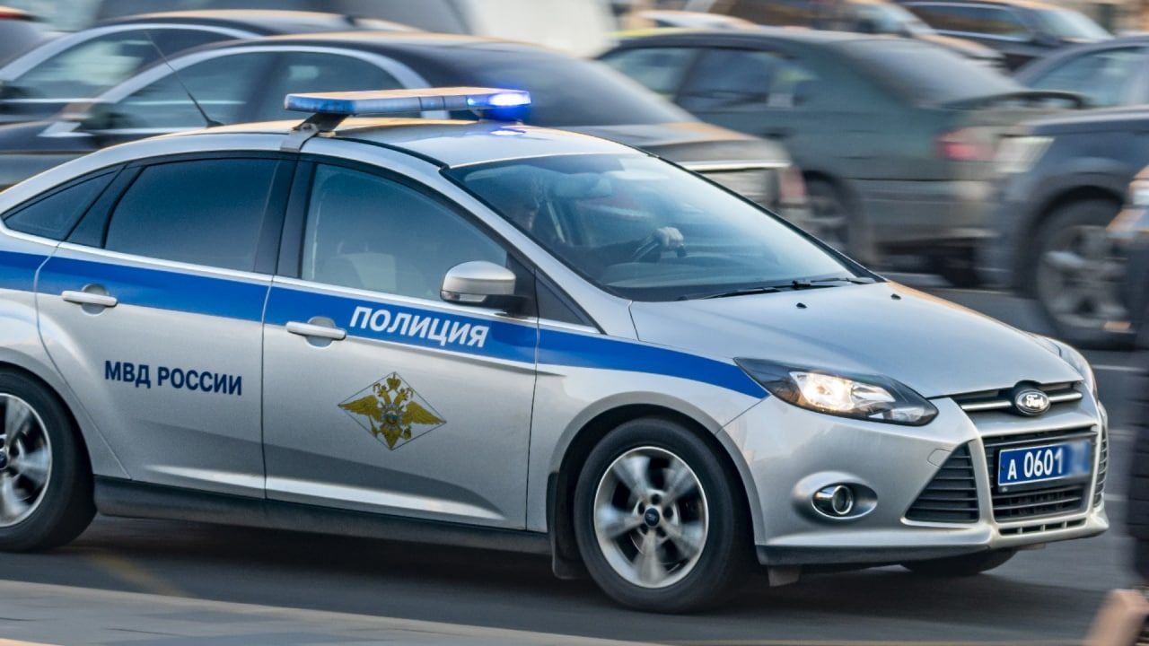 В Химках в квартире участника СВО найдены два трупа