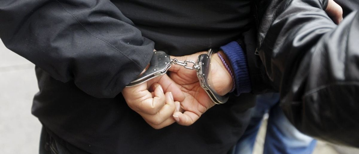 В Петербурге сотрудники МВД изъяли более 200 кг наркотиков на 800 млн рублей