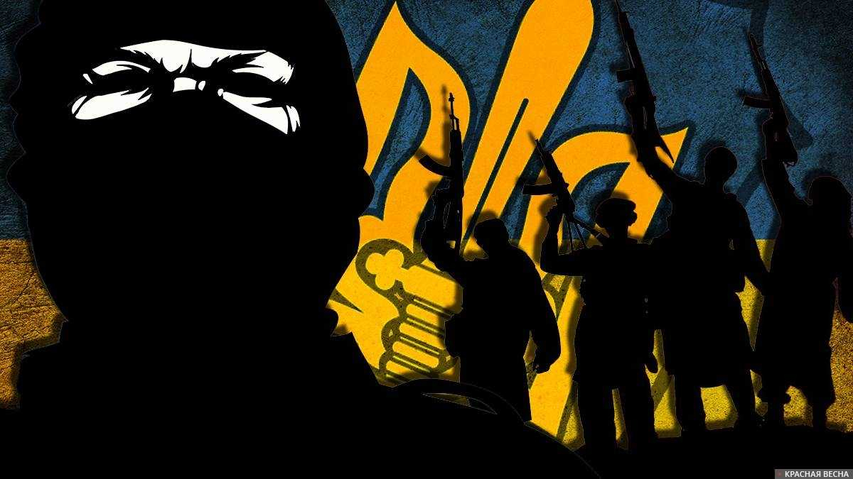 В Новой Каховке была вскрыта ячейка украинских террористов