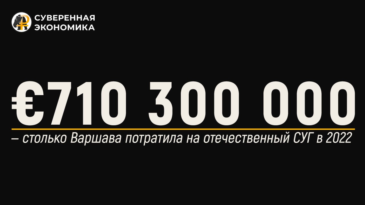 Сколько Варшава потратила на отечественный СУГ в 2022