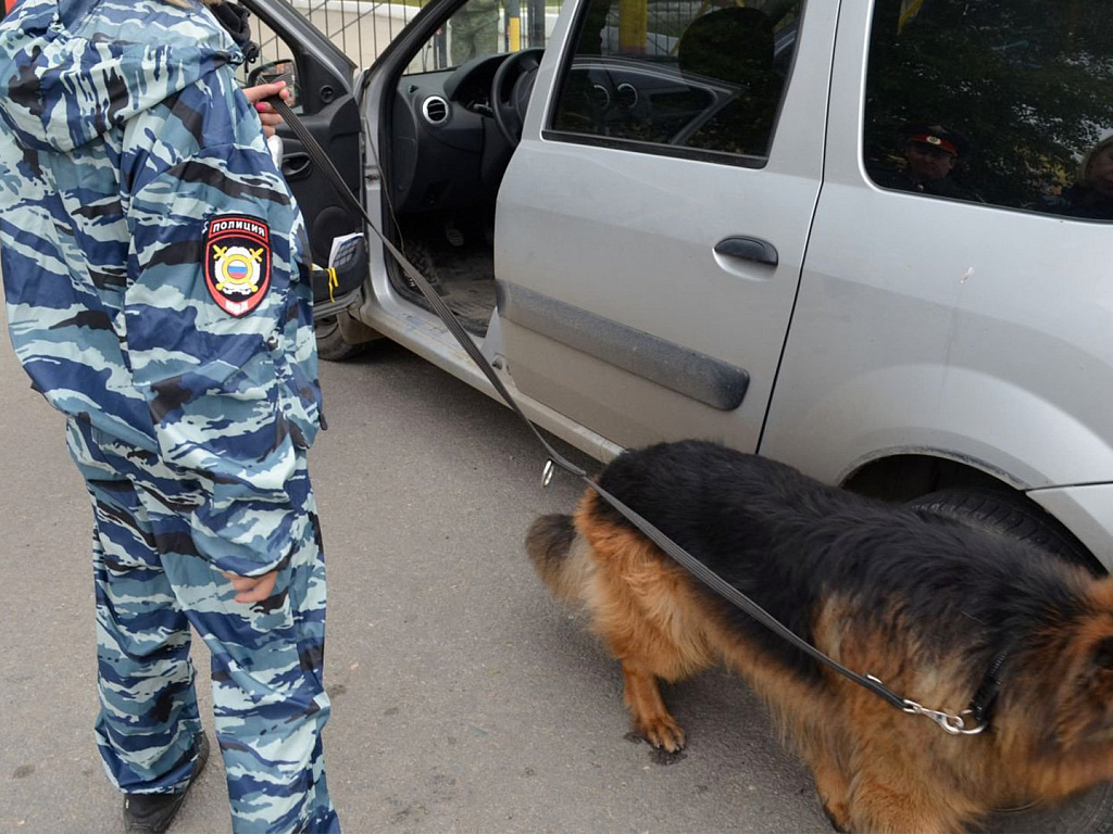 Неизвестный предмет обнаружили под легковым автомобилем полицейского в Запорожской области