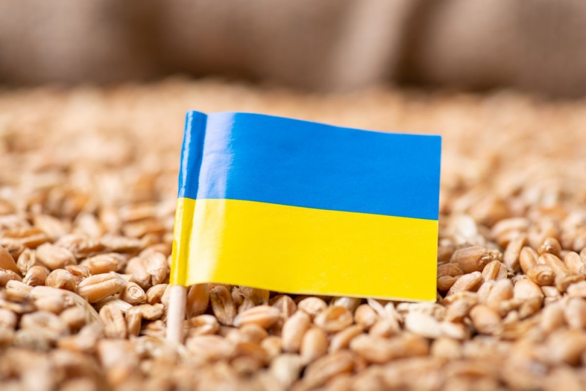Экс-премьер Словакии призвал власти страны запретить ввоз украинского зерна