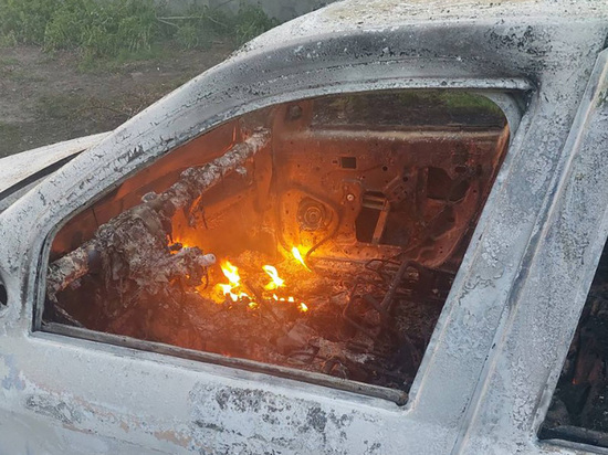 ВСУ обстреляли птицефабрику в Новой Таволжанке Белгородской области