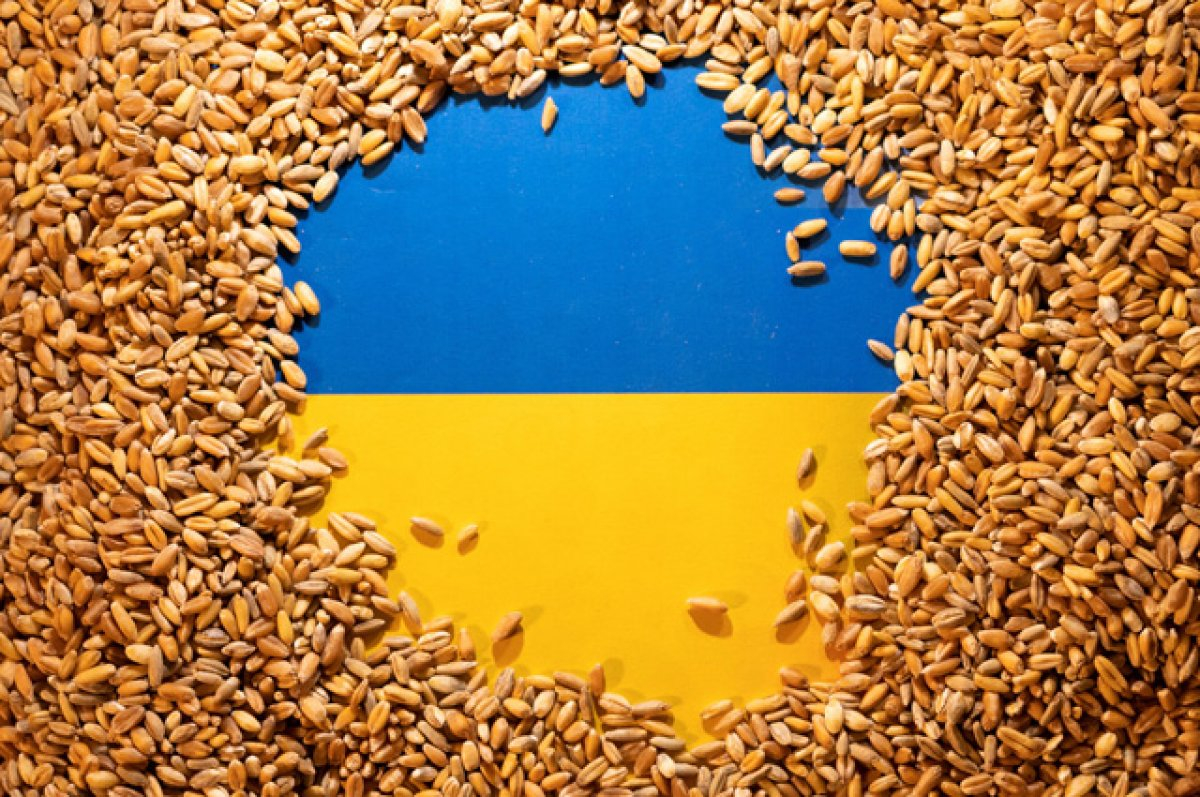 Аграрии в Венгрии потеряли 23-37% доходов из-за наплыва зерна с Украины
