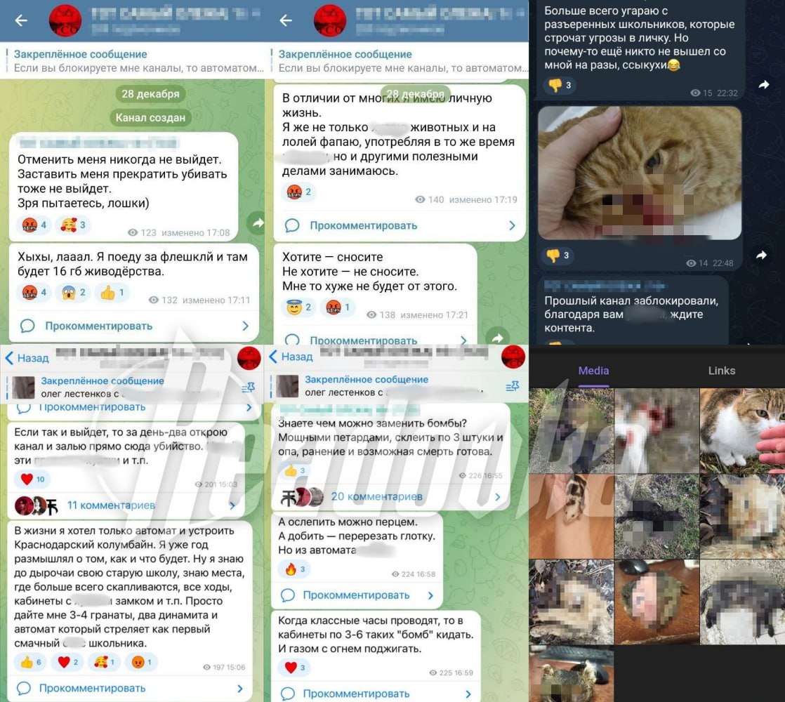 Живодер-стример убивает питомцев на камеру и мечтает зарубить беременных женщин