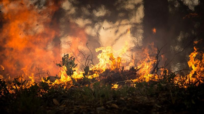 Жителей из деревни Бутка в Свердловской области эвакуируют