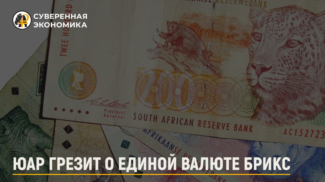 ЮАР грезит о единой валюте БРИКС 