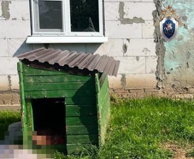 В Богородске Нижегородской области собака загрызла хозяйку