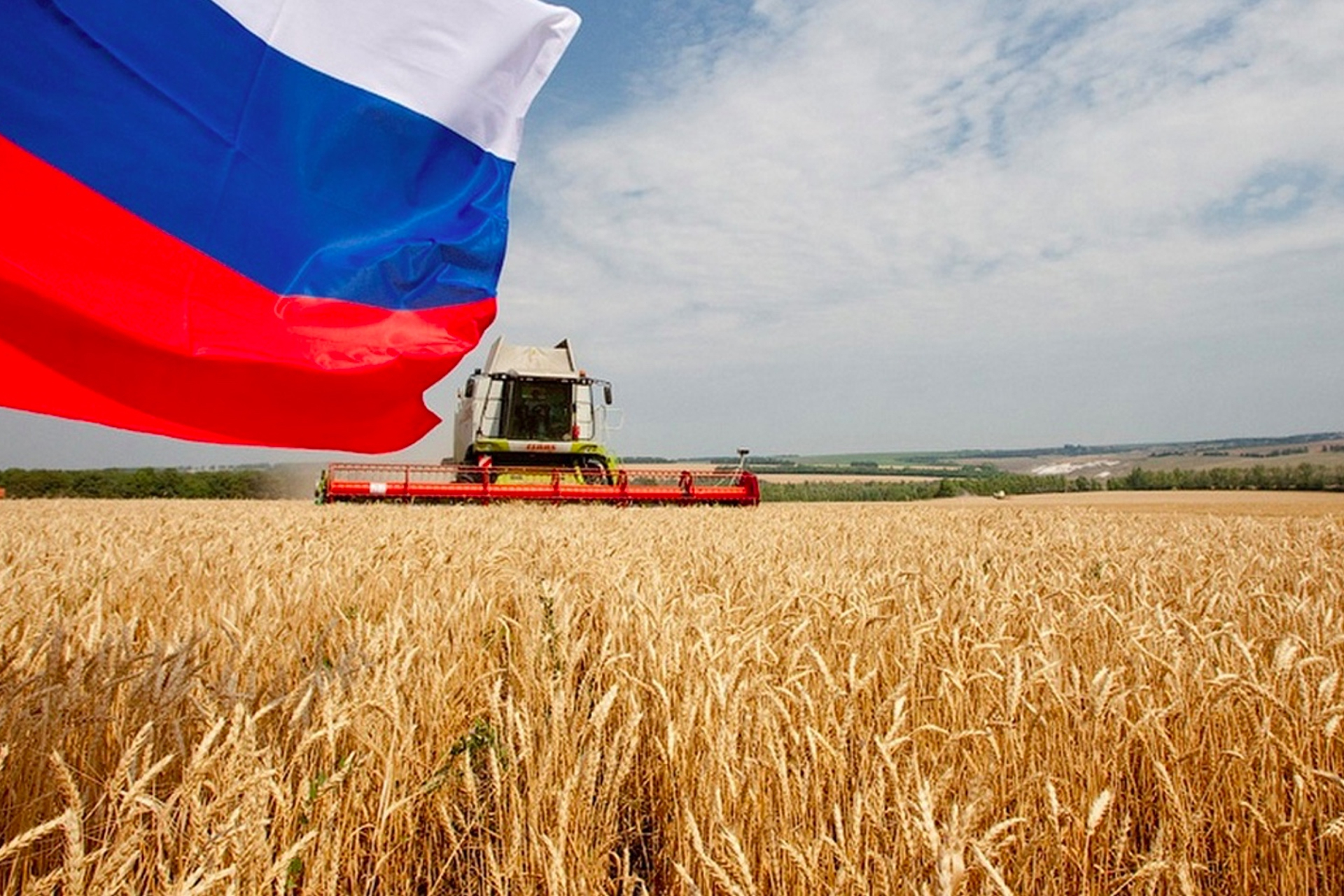 Россия вкладывается в развитие сельского хозяйства