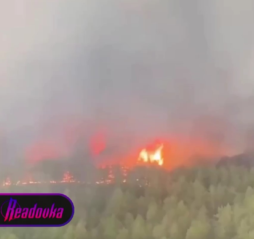 В Казахстане из-за лесного пожара погибли 14 спасателей
