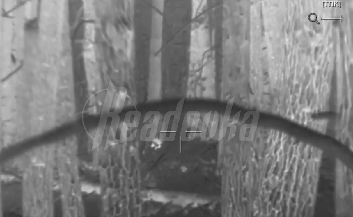 Показаны кадры «охоты» российских снайперов на украинских боевиков в лесах Кременной