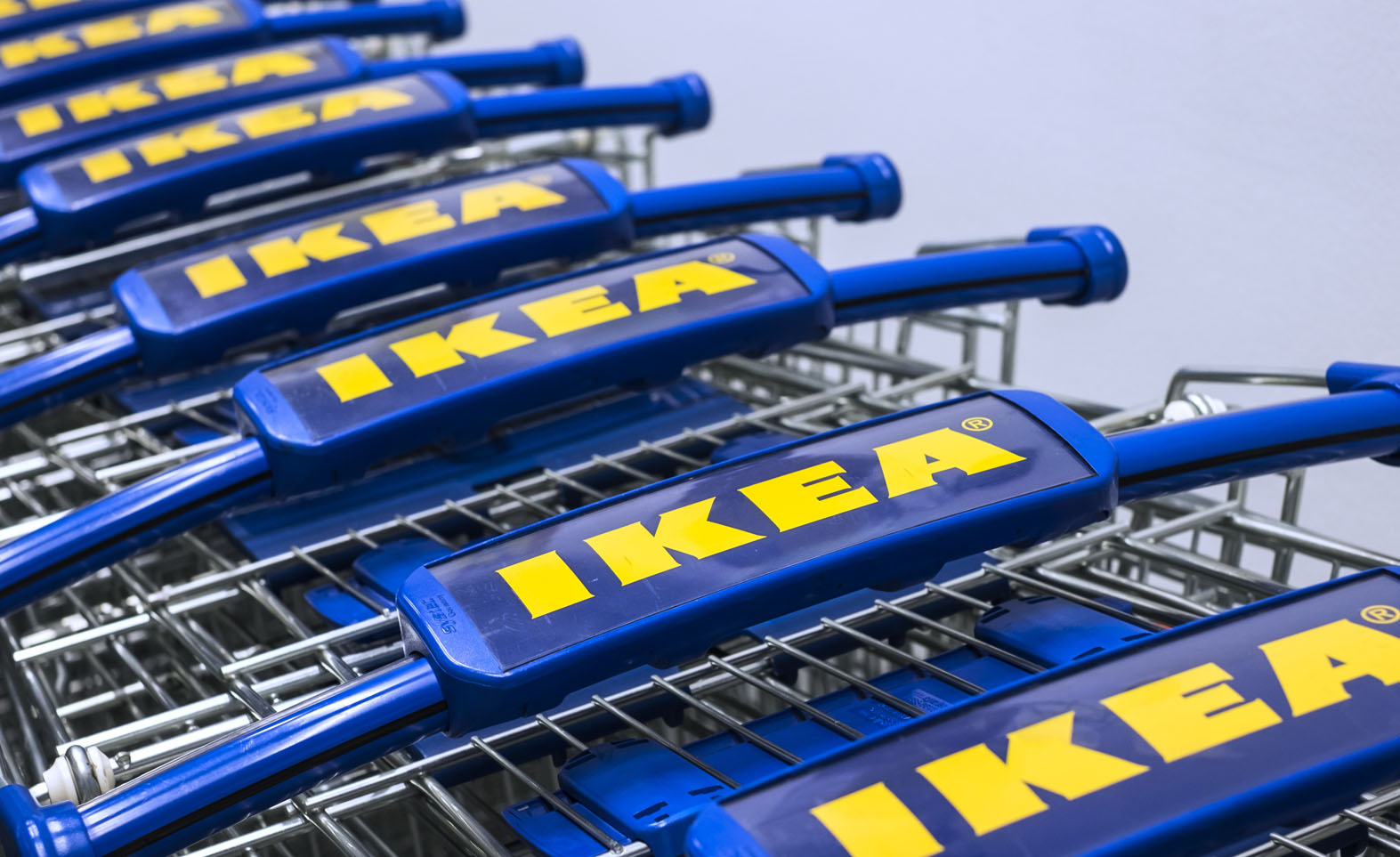 Санкт-Петербург судится с IKEA за отказ строить «Мегу»